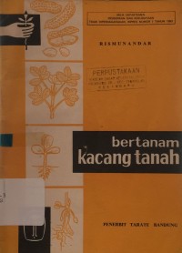 Image of Bertanam Kacang Tanah